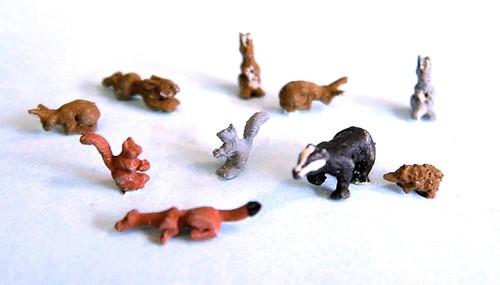 Animal british wildlife - british,