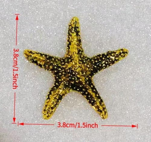 Starfish star fish fine - starfish, solid